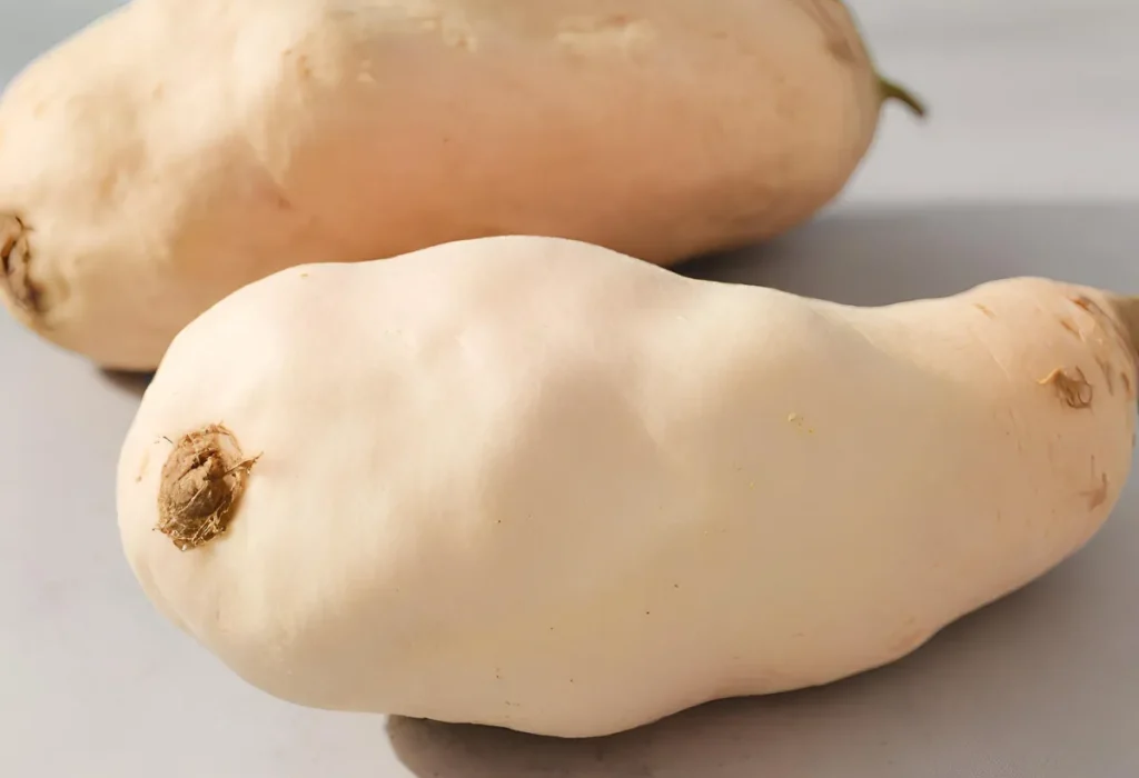Batata-Doce de Polpa Branca