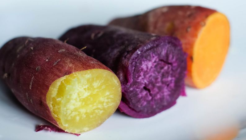 Variedades de Batata-Doce
