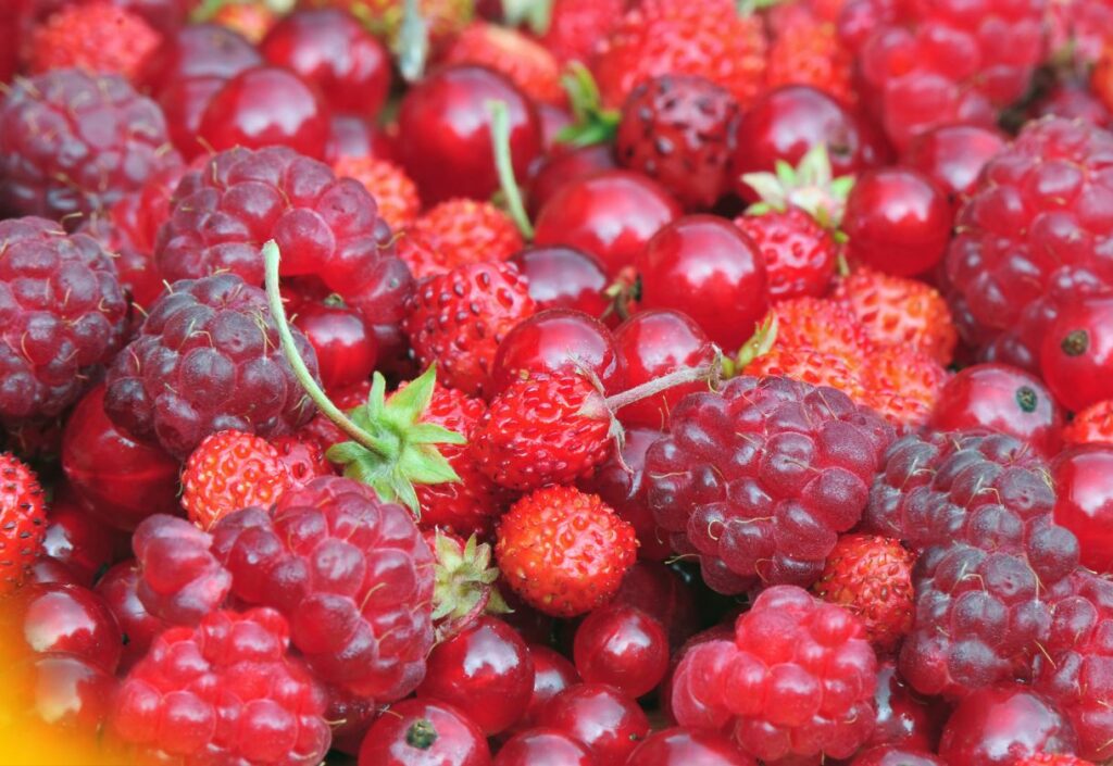 Benefícios das frutas vermelhas para saúde